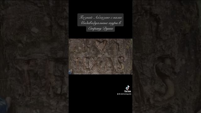 Экскурсии из Сочи в Абхазию. Достопримечательности Абхазии