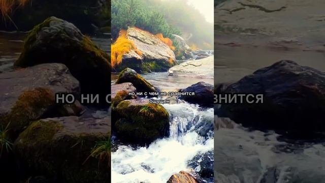 Что самое прекрасное в отношениях?