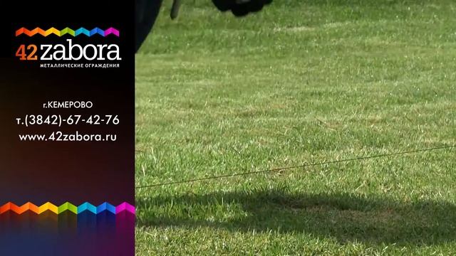 Монтаж ограждения на забивные опоры смотреть онлайн