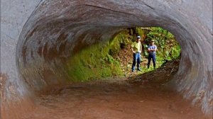 Кто вырыл эти туннели. Доисторические мега-норы, которые были вырыты гигантскими ленивцами.