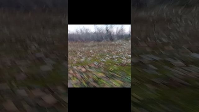 ПЕРВЫЙ_РАЗ_НА_СТАРОМ_КАМЕННОМ_КАРЬЕРЕ