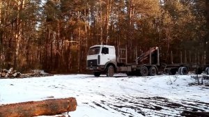 Маз лесовоз