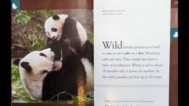 Pandas Read Aloud смотреть онлайн