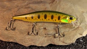 DUO Realis Jerkbait 110SP.