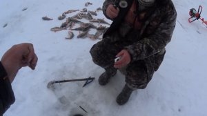 Рыбалка с дедом. Голодный окунь на таёжной реке плюс бонус.