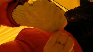 Рыбалка в Курганской области, оз. Камаган