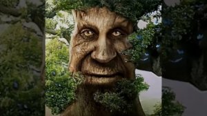 мудрый дуб смотрит 1 час *с субтитрами*