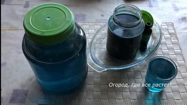 482. Как бороться с ложной мучнистой росой без химии