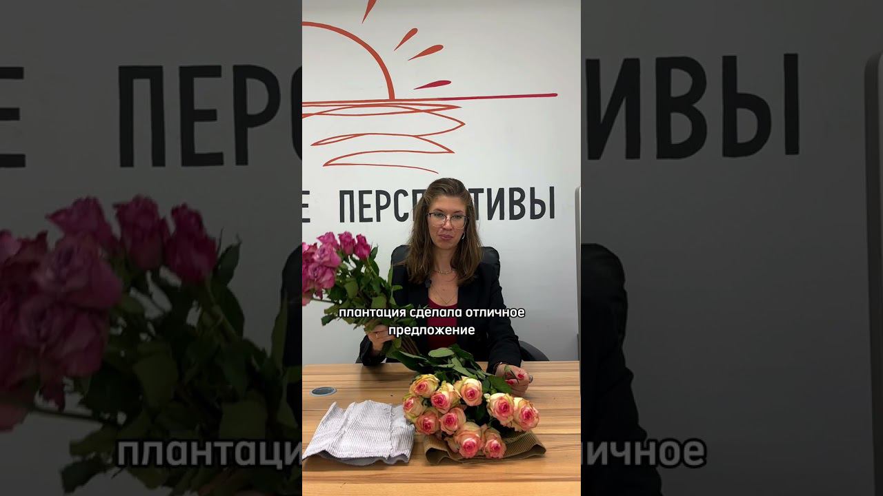 Премиальные плантации Кении, которые производят одноголовую розу #цветочныйбизнес #цветы #shorts