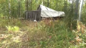 В тайге нашёл избушку, а там тру...
