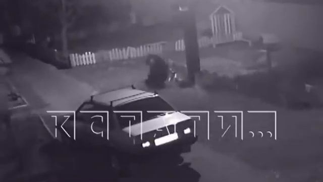 Дикий медведь зашел в город - ломал заборы, сопел под окнами и шалил в детсаду смотреть онлайн