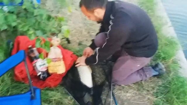 Анонс суточной рыбалки КАРПОВЫХ  МОНСТРОВ на перловку. Карповая рыбалка 2018