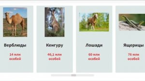Численность животных в мире. Сравнение популяции животных на Земле