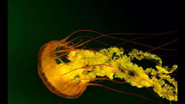 Image Processing with Java #2 Design смотреть онлайн