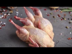 Забой и потрошение перепелов в домашних условиях.