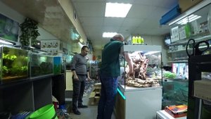 Запуск аквариума Eheim incpiria 230 литров. Часть 2. Хардскейп. Посадка растений.