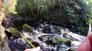 Сильная, дикая форель Карелии ? Ловля на силиконовые приманки ?