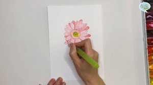 롼쌤 아트 | 수채화 물감 + 색연필 생화그리기 ‘거베라’ (Botanical art, Gerbera)