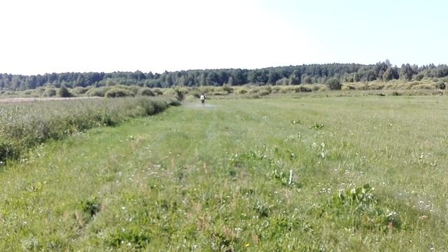 Как избавиться от Сорняков . Роундап+мочевина