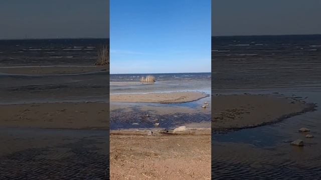 Петергоф Финский залив Балтийское море ЛВ Путешествия