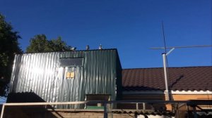 Спортивные голуби, 2020год.  Тренировка на 100км