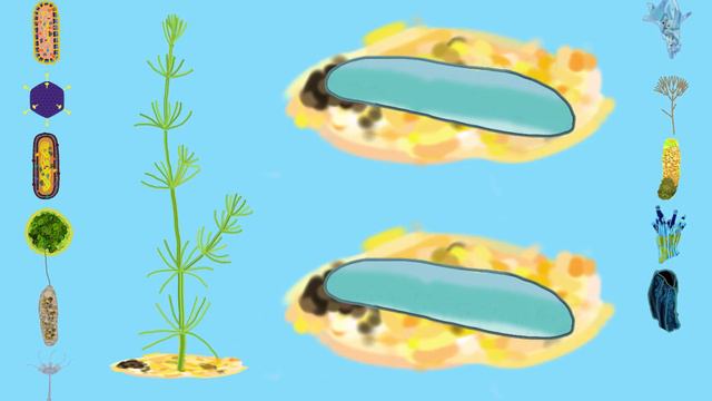 Awesome Human Evolution Timelapse смотреть онлайн