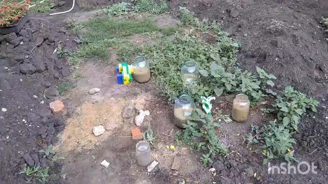 Как у вас не ухожено... смотреть онлайн