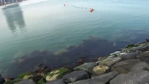 Рыбалка в ОАЭ.  как рыбачат  в персидском заливе приезжие гастарбайтеры..