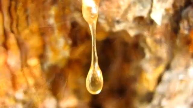 Рождение янтаря смотреть онлайн