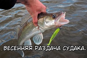 Весення раздача Судака. Весення рыбалка 2020. Рыбки зашевелились!