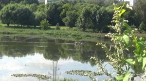 борисовские пруды тайны века