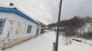 Кын завод