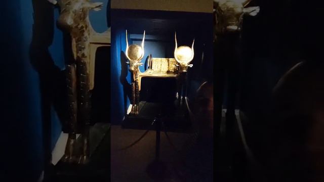 Удивительная история Древнего Египта в Санкт-Петербурге смотреть онлайн