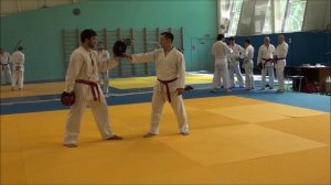 Тадеуш Рафаилович Касьянов семинар СЭНЭ часть1