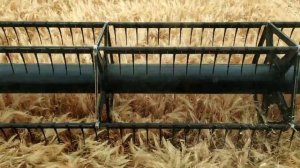 Комбаин Нова S 340 убирает полëгший ячмень.