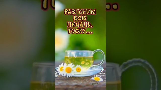 Приглашение на чай смотреть онлайн