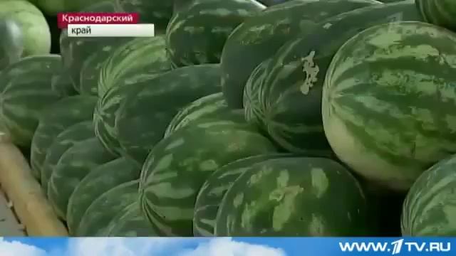 Желтый Арбуз смотреть онлайн