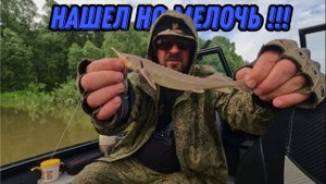 ИСКАЛ СТЕРЛЯДЬ ! Рыбалка на Оби 14 июня 2024г. Видеоотчет !
