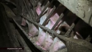 Дефицита продуктов питания в магазинах Сеймчана не наблюдается