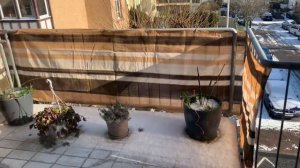 Не поливала цветы полтора месяца - Отзыв о кашпо lechuza