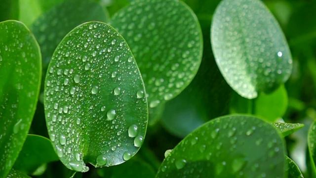 Медленная красивая музыка для сна 13 6 8 смотреть онлайн