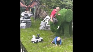 Садовые фигуры. Ландшафтный дизайн вашего сада, дома.