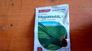 Супер средство от садовых муравьев поможет средство Муравьед