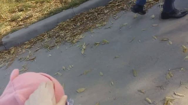 Vlog: собираемся гулять, идем на детскую площадку, собираем шкаф смотреть онлайн