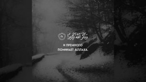 Омар Хишам° #byquran #нашид#коран#medina