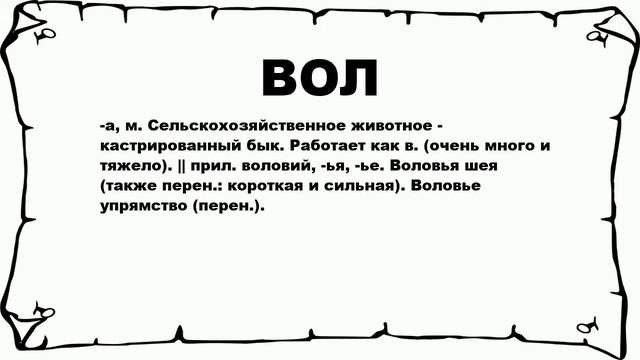 ВОЛ - что это такое? значение и описание