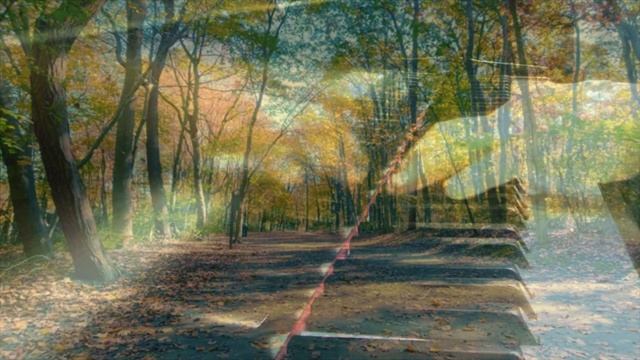 Маэстро Климашевский — Лепестки Осени