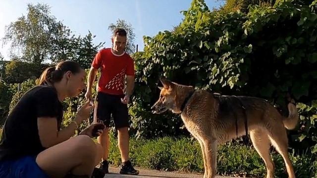 Кому она нужна/ Ирина Самарина-Лабиринт/Читает Татьяна К.С/СтихиЯ***