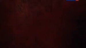 Откуда появился человек.