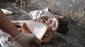 Как почистить налима. Впервые пробую речную рыбу.